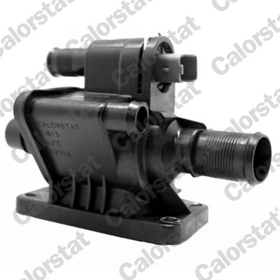 Thermostat, coolant